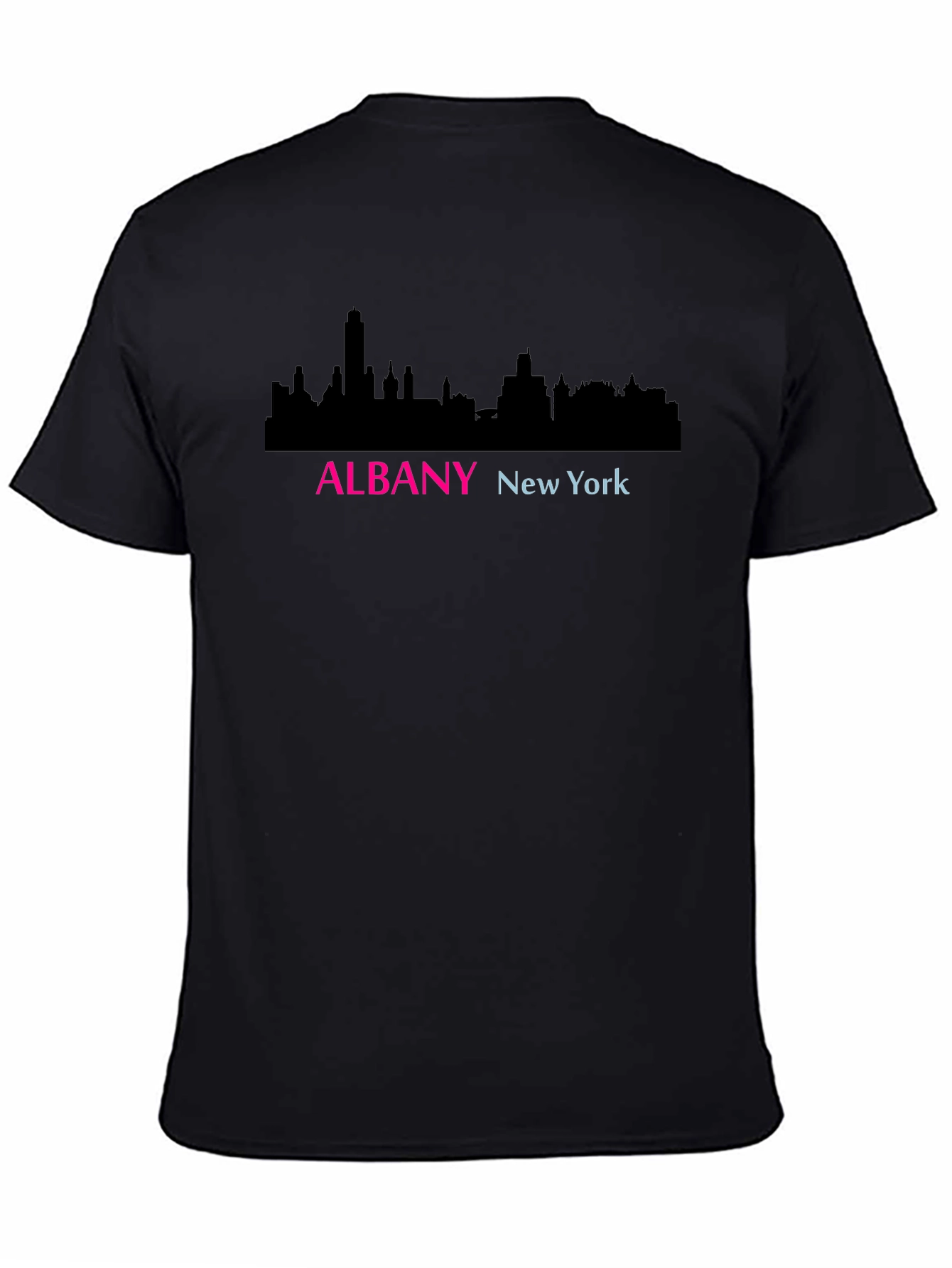 Albany New York Skyline Graphic T-Shirt