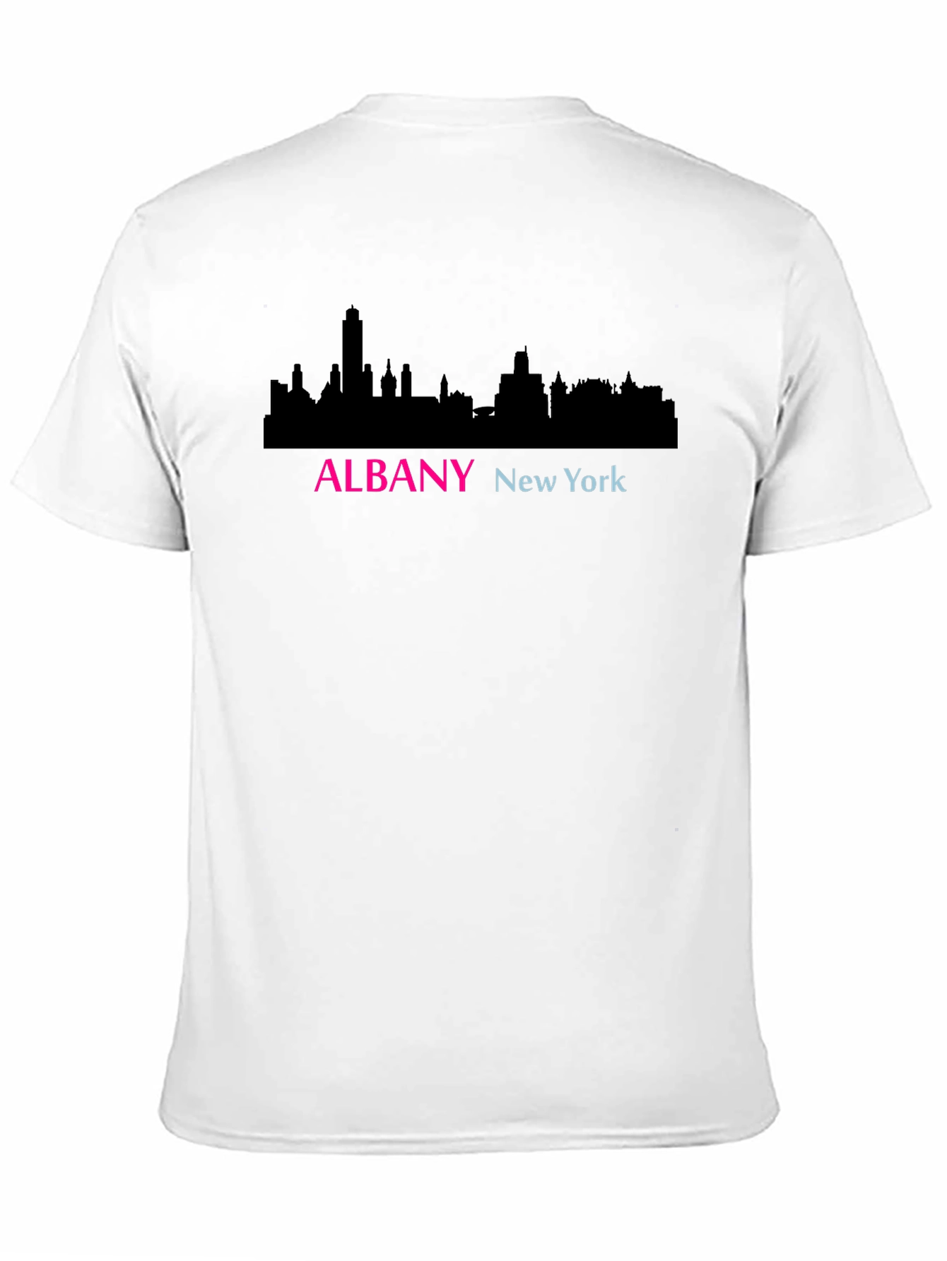 Albany New York Skyline Graphic T-Shirt