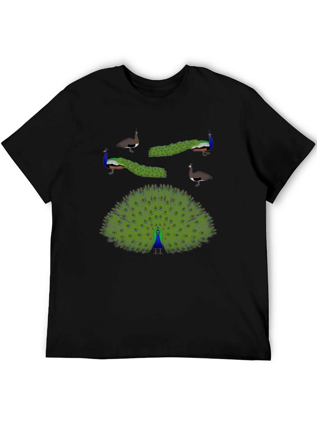 Peacock Graphic Print T-Shirt