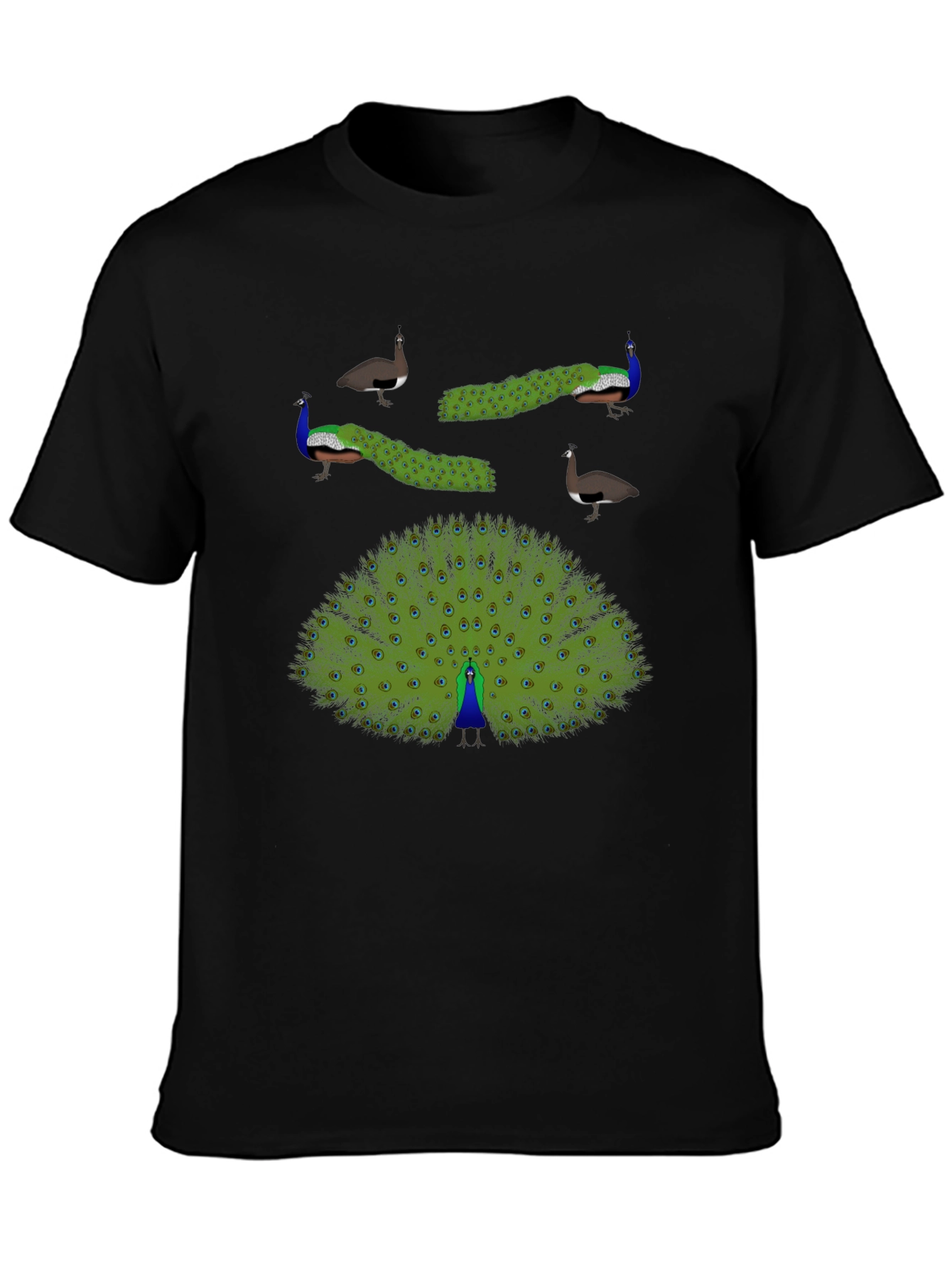 Peacock Graphic Print T-Shirt