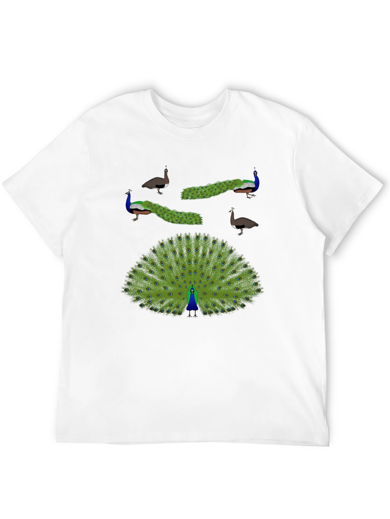Peacock Graphic Print T-Shirt