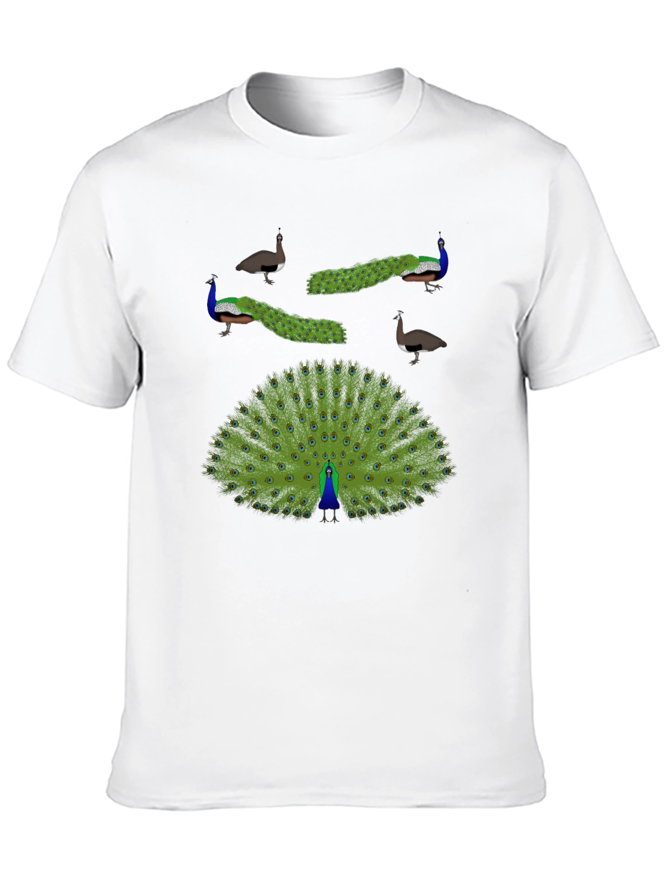 Peacock Graphic Print T-Shirt
