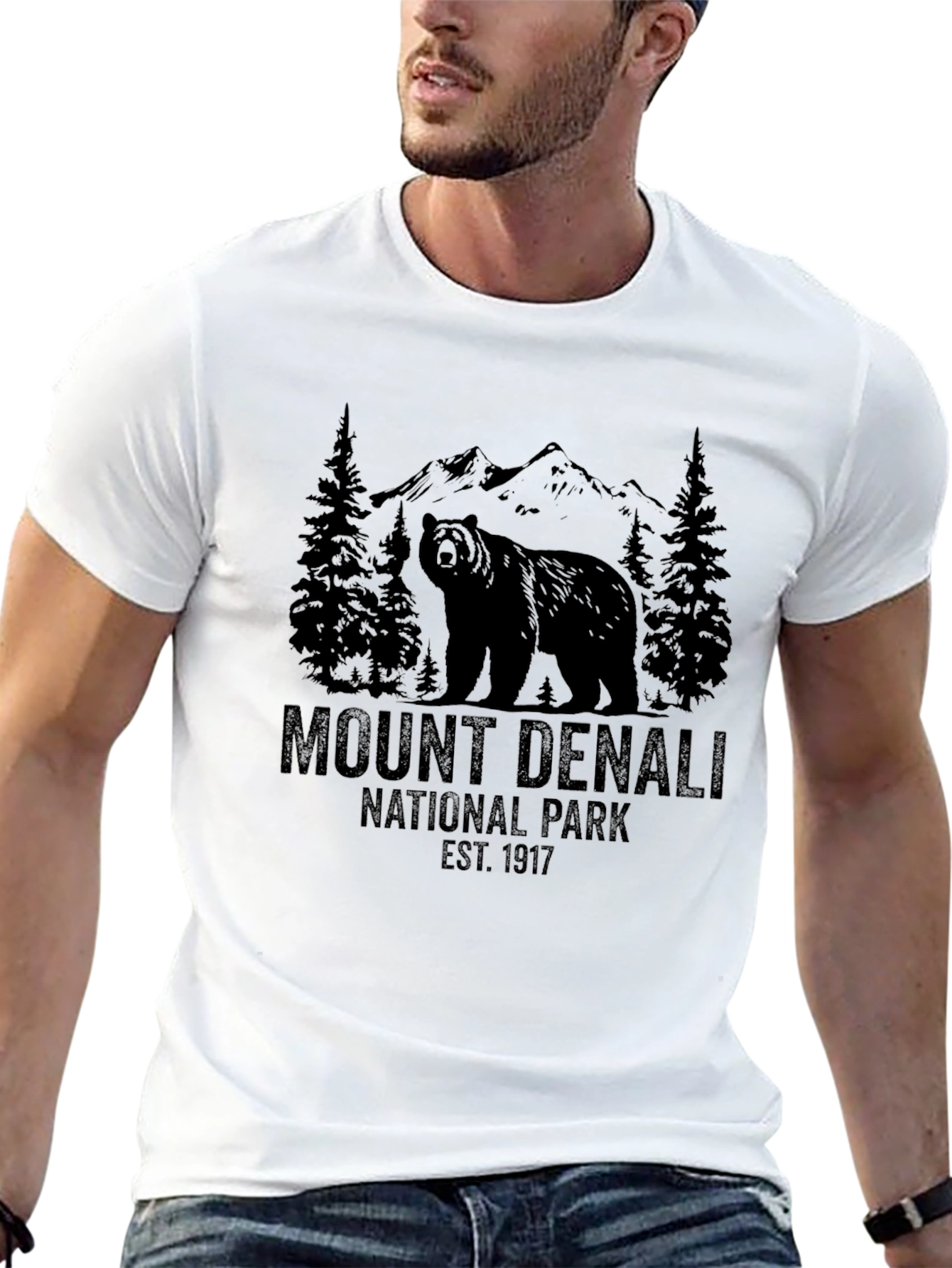 Mount Denali National Park Black T-Shirt