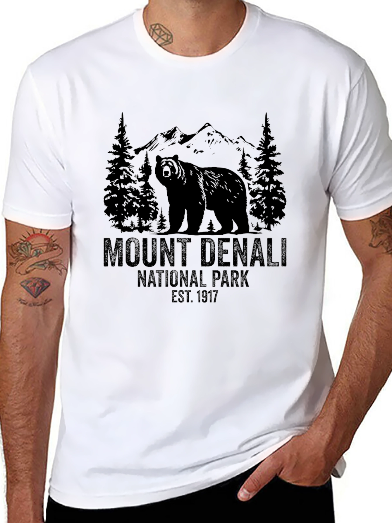 Mount Denali National Park Black T-Shirt