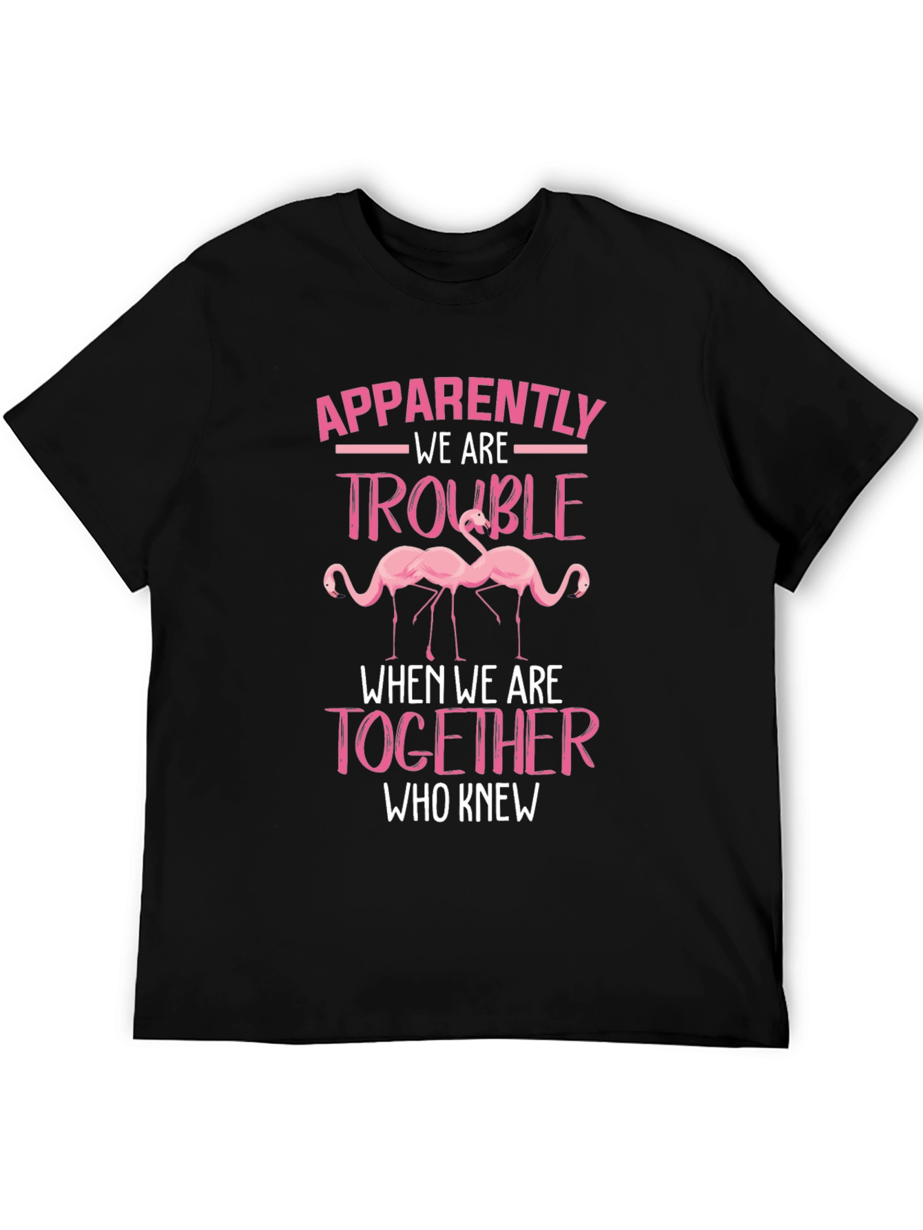 Flamingo Trouble Tee - Funny Matching T-Shirt